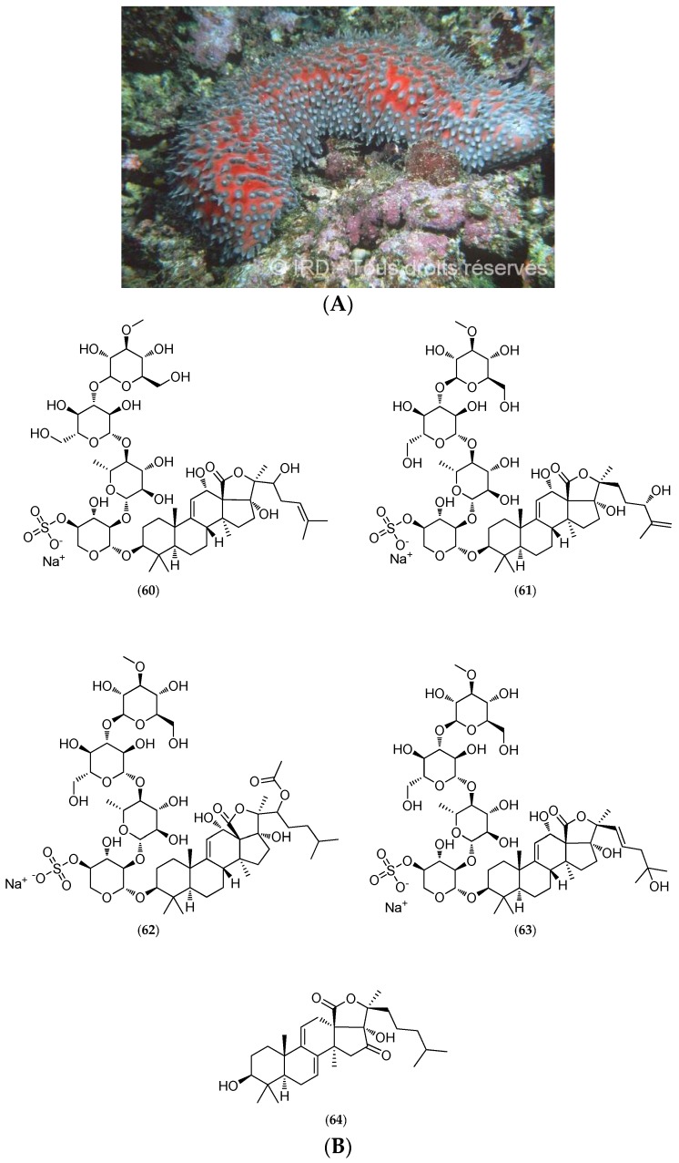 Figure 16