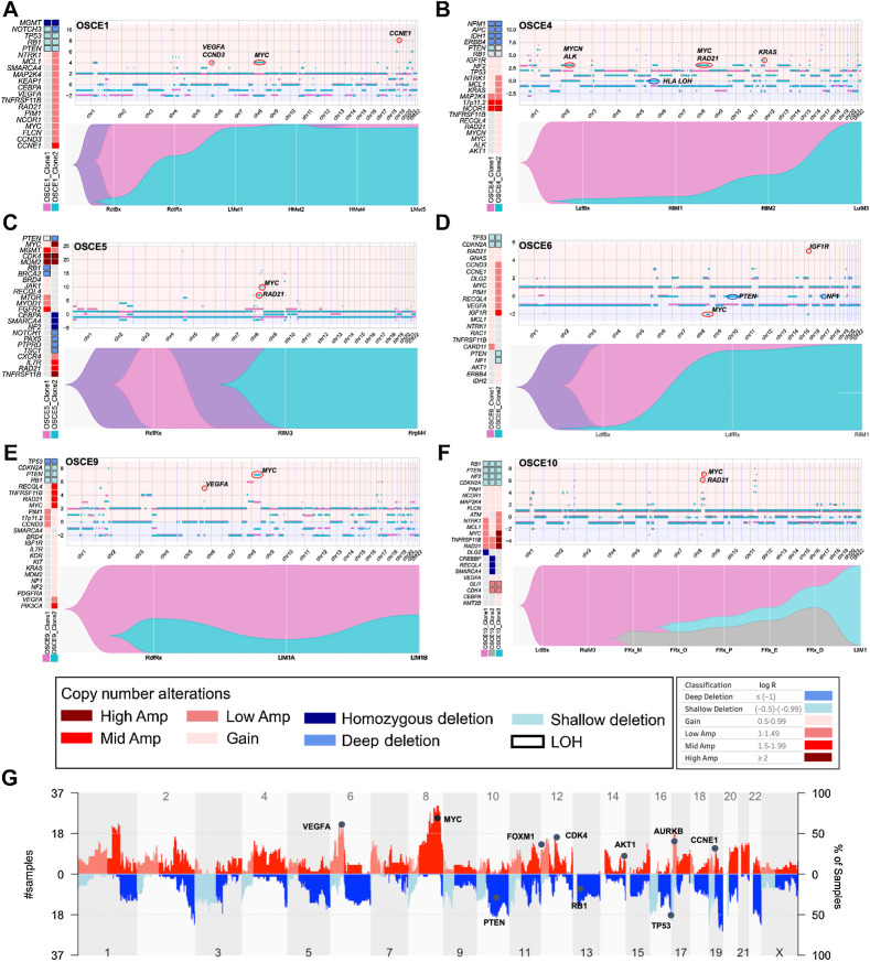 Figure 2. Subclonal copy-number clones emerge at relapse. A–F, For each patient there is a panel of three figures. The figure on the left is an oncoprint featuring clone-specific CNAs in recurrently altered genes of interest in osteosarcoma. The top figure is a plot of allele-specific CNAs for each clone, with significant events for each clone circled and highlighted (note y-axis scales are unique for each patient). Clone 1, magenta clone; clone 2, teal clone; clone 3 in OSCE10, gray clone. The major allele is plotted above 0 and the minor allele is plotted below 0. The bottom figure in each panel is a TimeScape plot of the prevalence of each clone at different time points throughout a patient's disease course. G, Combined genome-wide CNAs across all patients in the cohort, with recurrently altered genes highlighted.