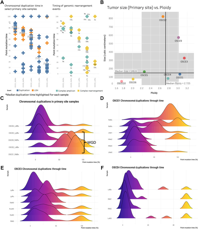 Figure 3. Chromosomal duplication timing analysis reconstructs evolutionary past of genomic instability events. A, Plot of duplication and rearrangement events in molecular time. Left side of figure is plot of duplication events (blue) and LOH events (orange) for select primary site samples. The median duplication time is highlighted for each sample. The plot on the right side of the figure is complex amplicon events (teal) and complex rearrangement events (yellow). Y-axis for both plots is molecular time. The samples are in the same order for each plot. Each plotted event represents an affected chromosomal arm. B, Plot of tumor size (by volume) versus ploidy called by HATCHet. Median size (y-axis) and ploidy (x-axis) values are plotted with dark black lines, with the shaded gray areas representing the range between the lower and upper quartile for each metric. C, Chromosomal duplication timing of five primary site samples. WGD events as called by HATCHet appear to be a late event in our cohort. D–F, Ridgeline plots of the density of duplication events over molecular time for each sample for the selected patients. Notably the highest peak in duplications occurs before diagnosis.