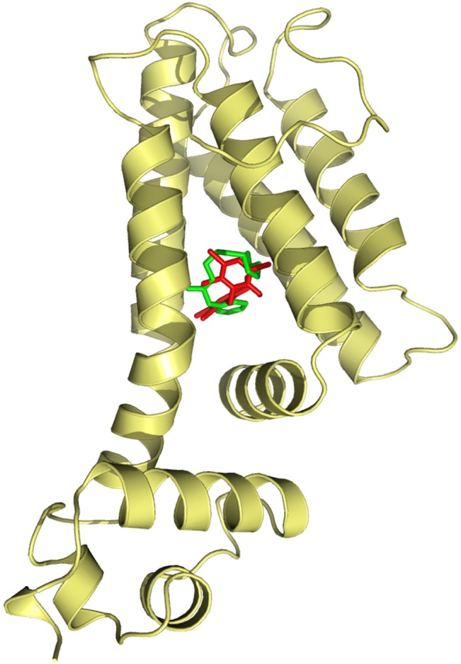 Fig 1