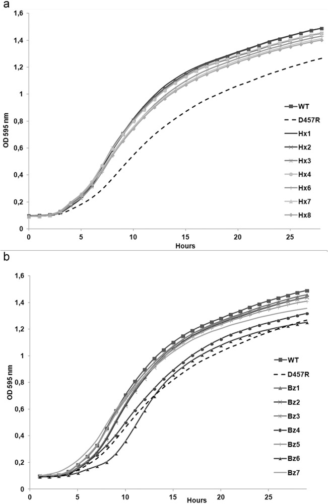 Fig 4