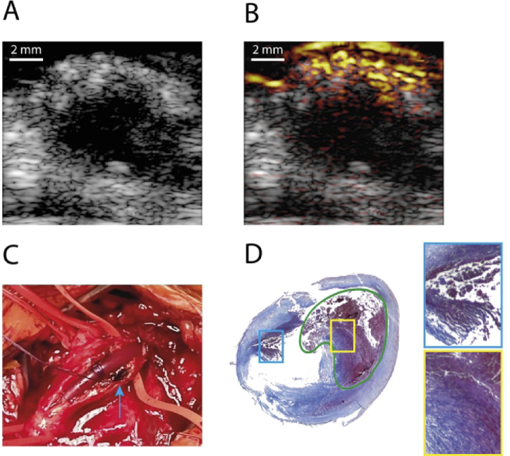 Fig. 6.