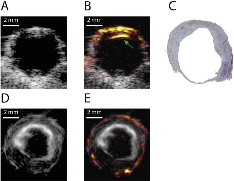 Fig. 5.