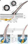 Fig. 2.