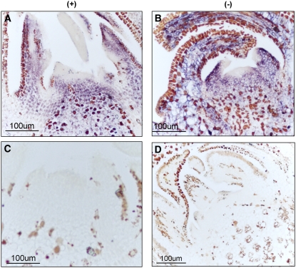 Figure 10.