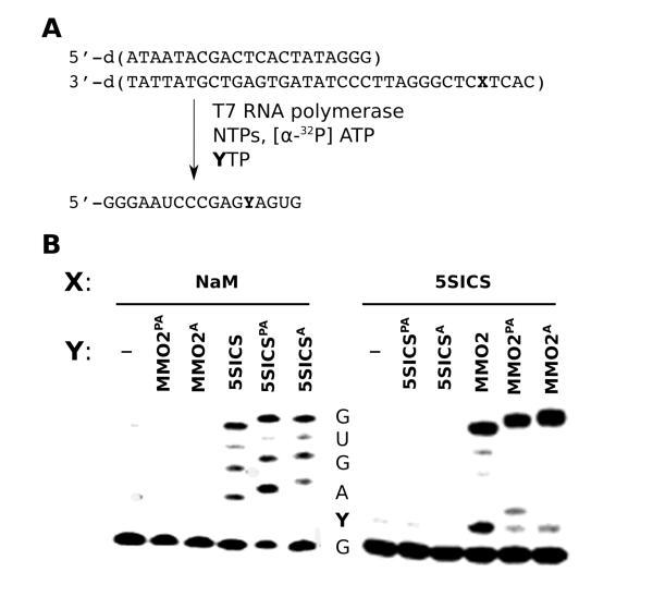 Figure 6