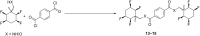 Scheme 4