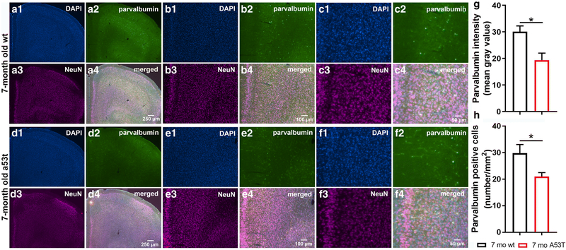 Figure 3: