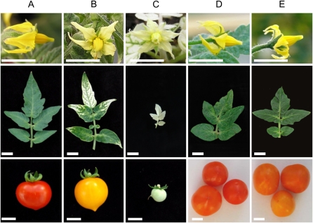 Figure 4.