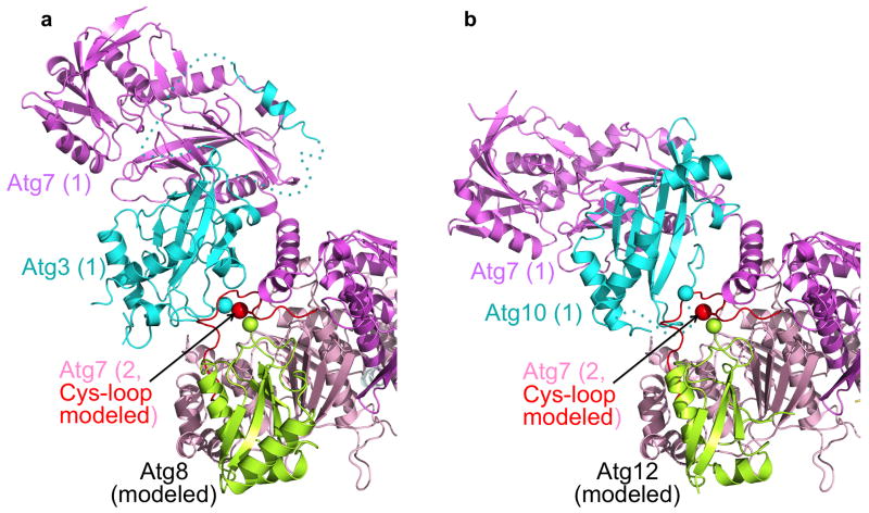 Figure 7