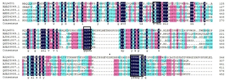 Figure 4