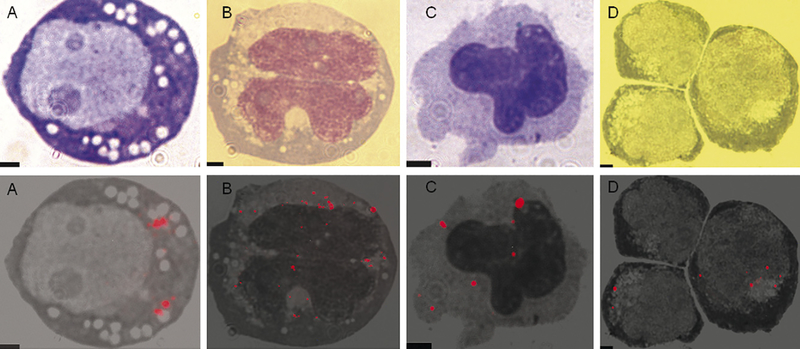 Fig. 6.