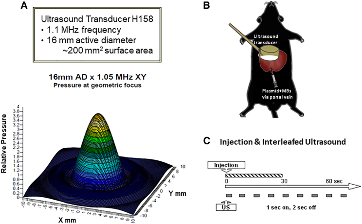 Figure 1