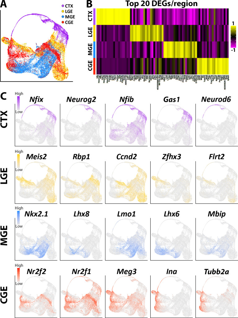 Figure 1—figure supplement 3.