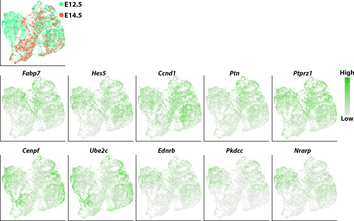 Figure 7—figure supplement 2.