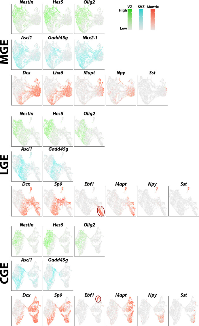 Figure 2—figure supplement 3.