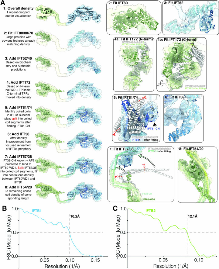 Extended Data Fig. 5