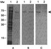 FIG. 2.