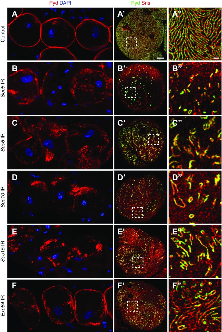 Figure 2.