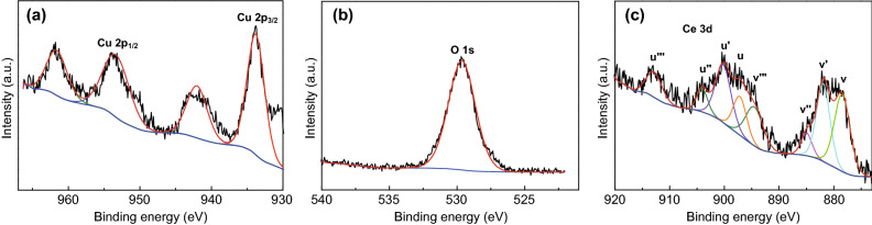 Fig. 3