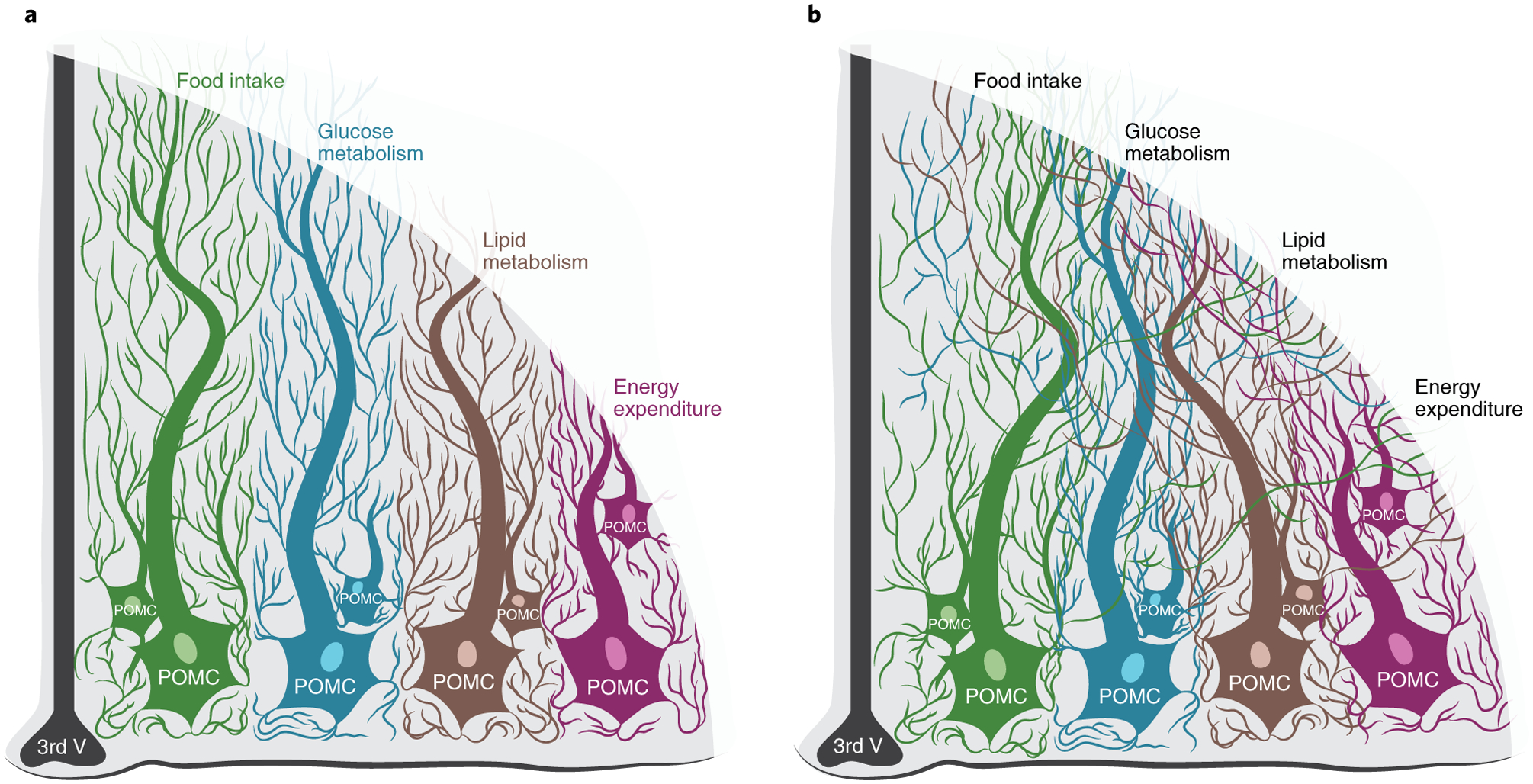 Fig. 2 |