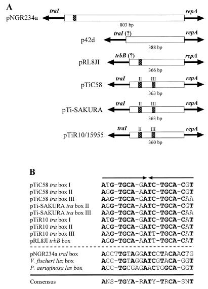 FIG. 8