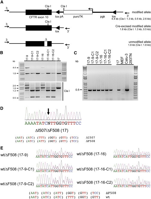 Figure 2