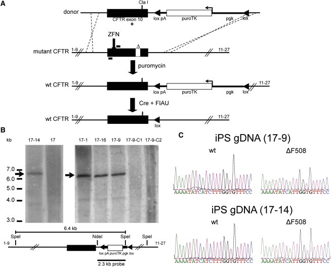 Figure 1