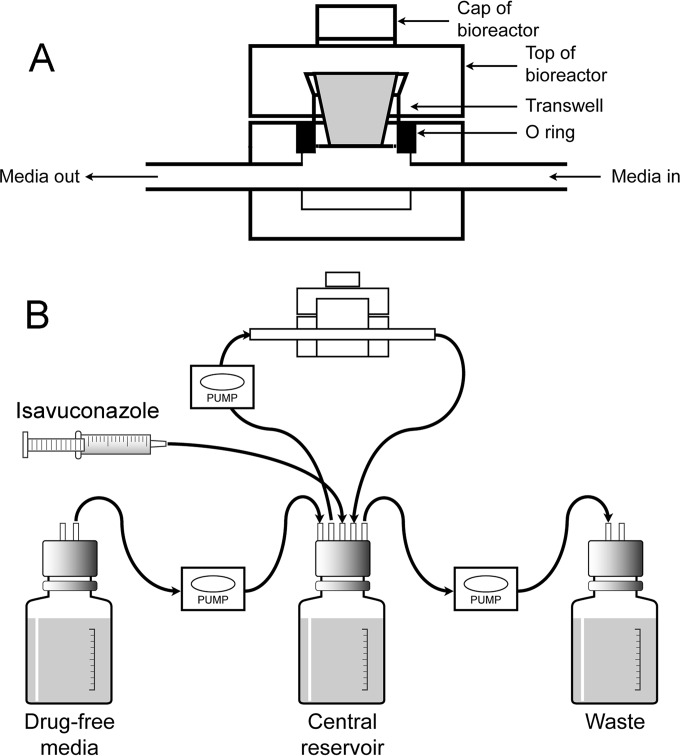 FIG 1