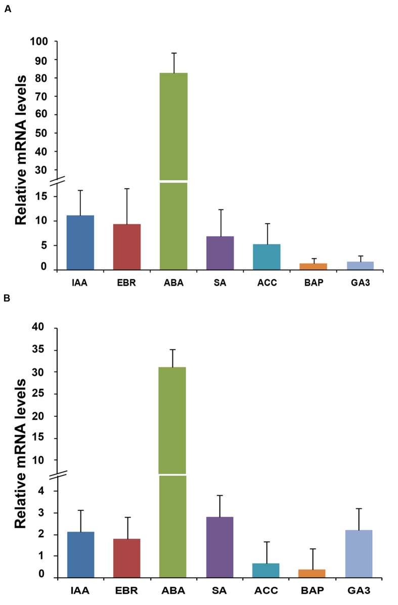 FIGURE 2