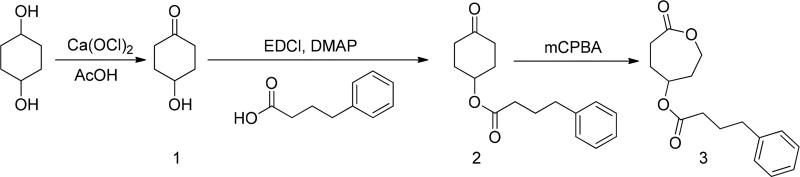 Scheme 2