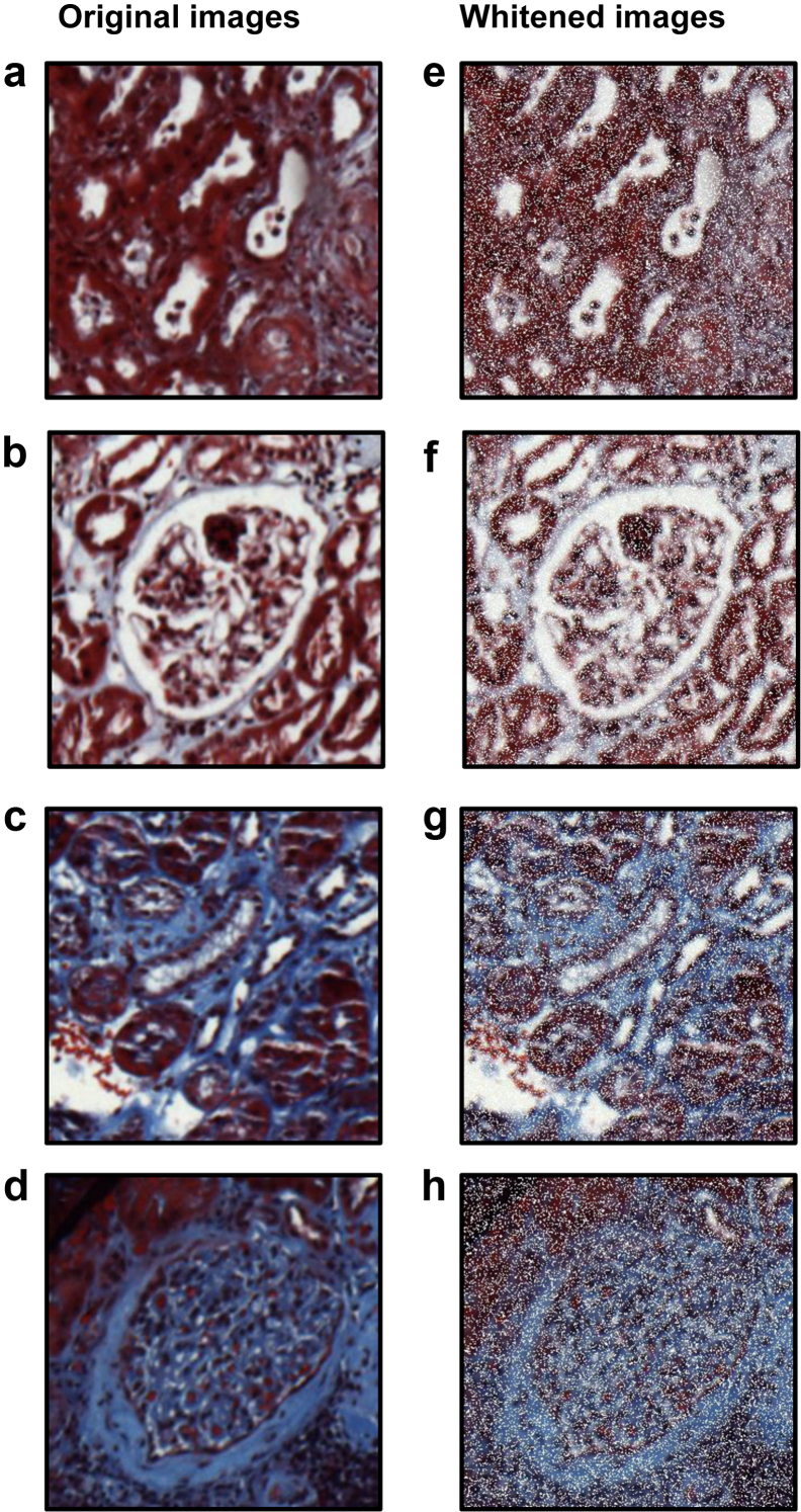 Figure 3