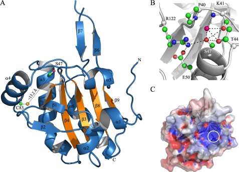 FIGURE 7.