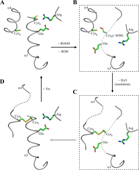 FIGURE 10.