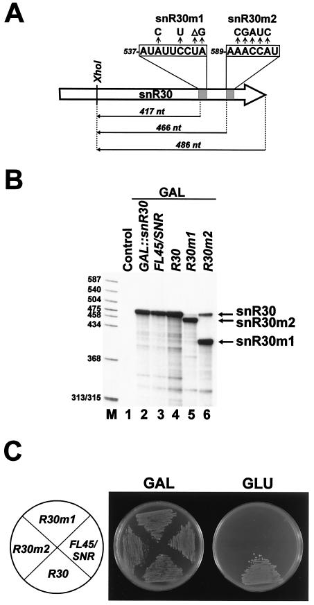 FIG. 6.