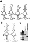 FIG. 4.