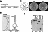 FIG. 3.