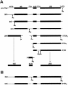 FIG. 1.
