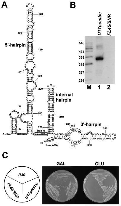 FIG. 5.