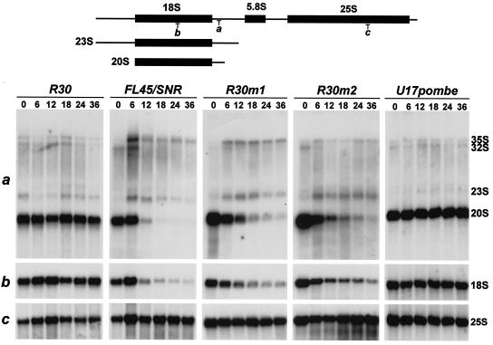 FIG. 7.