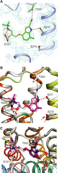 Fig. 6.