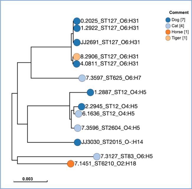 FIG 2