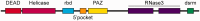 F<sc>ig</sc>. 1.
