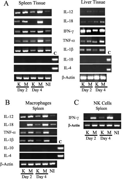 FIG. 7.