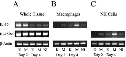 FIG. 8.