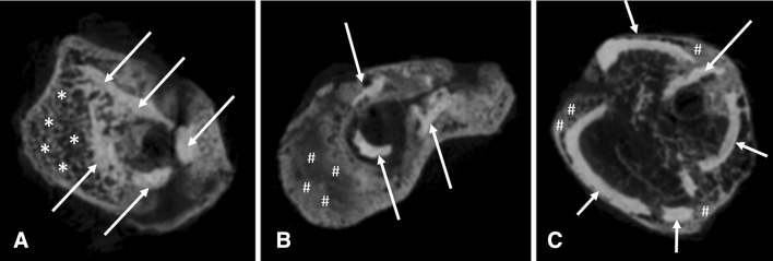 Fig. 4A–C