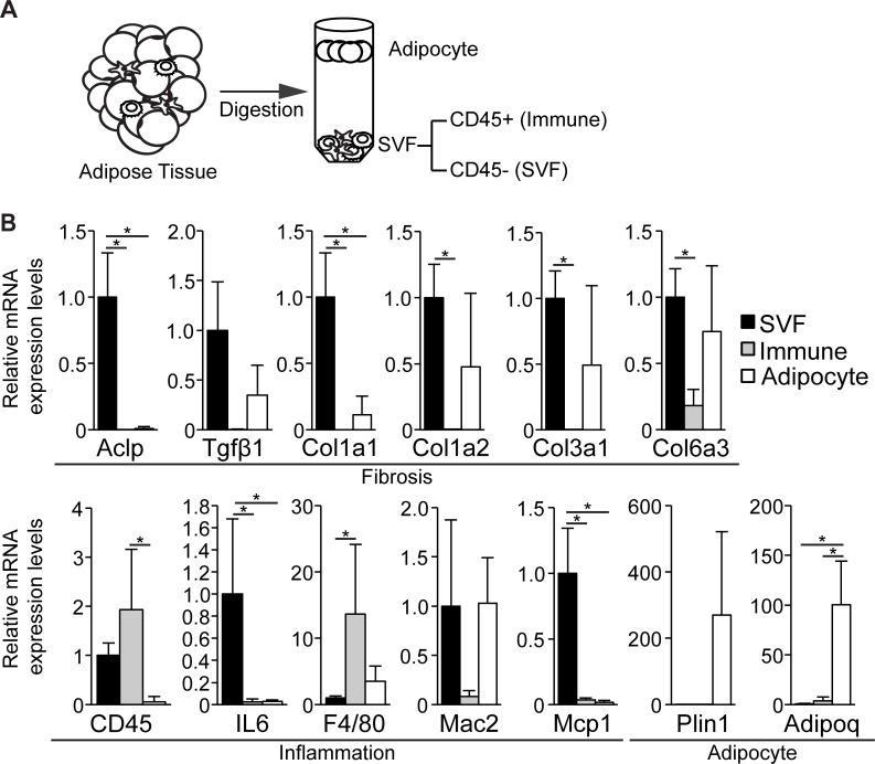 Fig 5