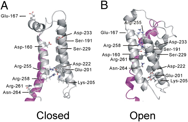 Fig. 7.