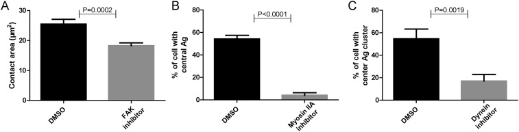 Figure 5—figure supplement 1.