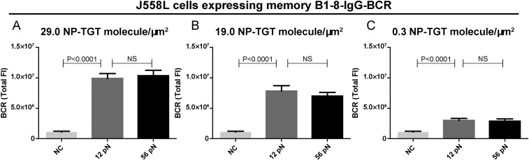 Figure 6—figure supplement 1.